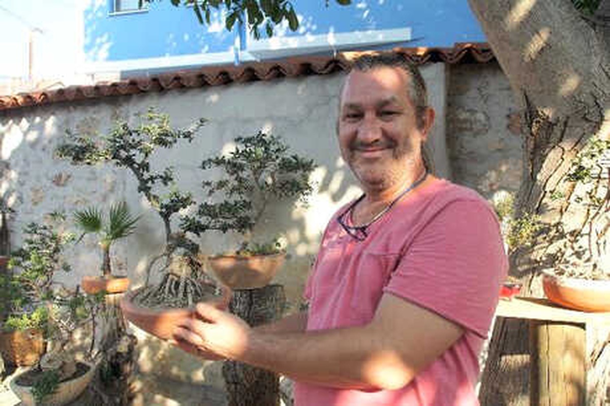 Zeytin Fidanlarının Bonsai Yolculuğu