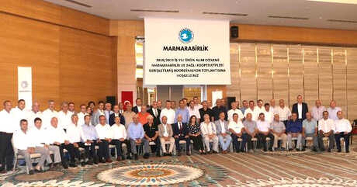 Zeytinde Son 10 Yılın En Yüksek Rekoltesi Bekleniyor