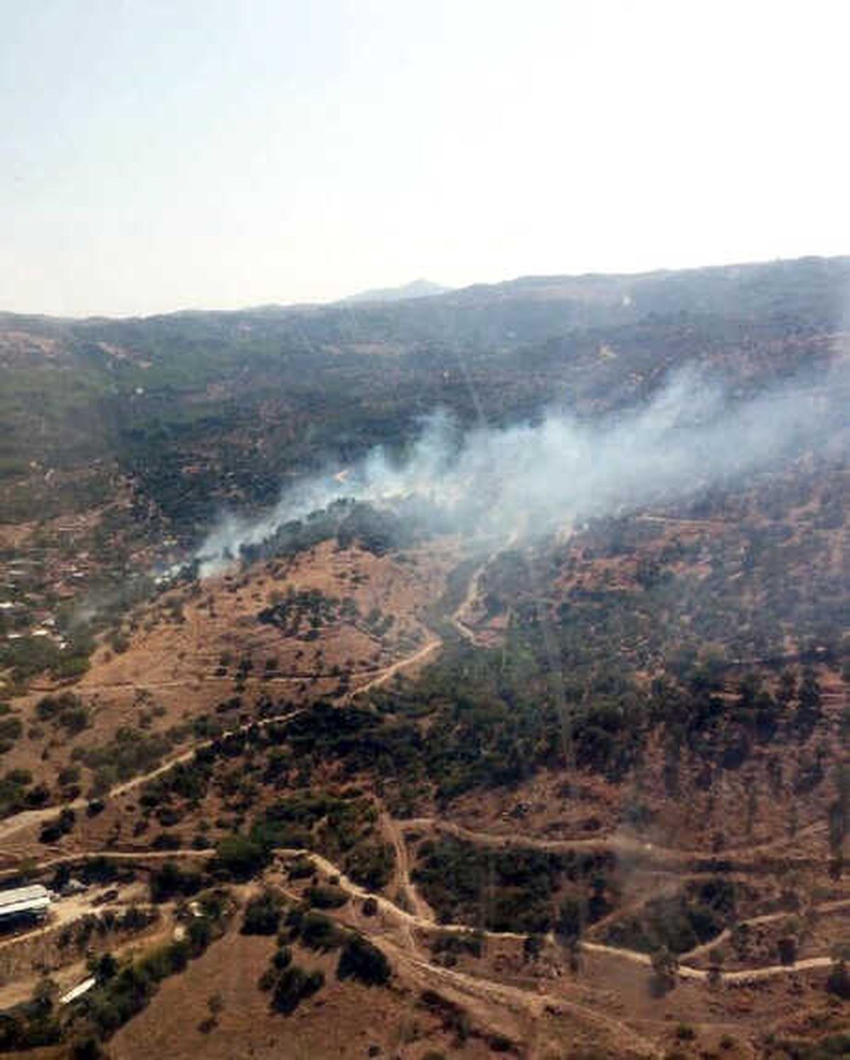 Zeytinlik Alanda Yangın Çıktı