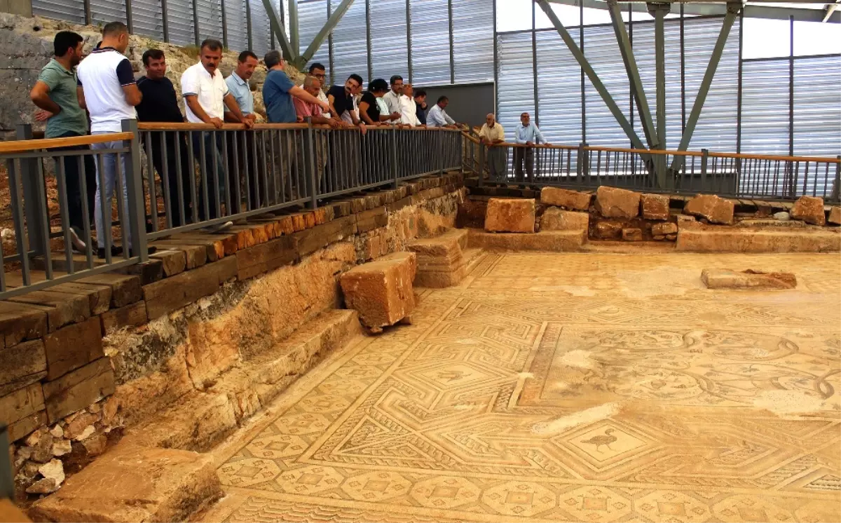 1500 Yıllık Mozaik Görücüye Çıktı