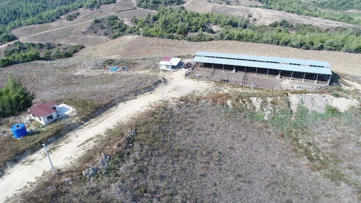 Adana\'da Kiralık Hazine Arazisi Kavgası: 1 Ölü