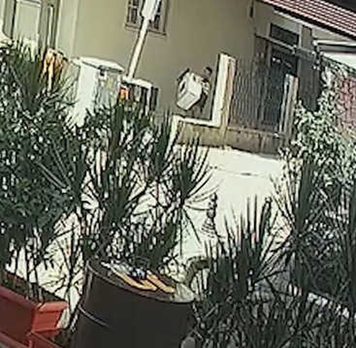 Atık Kağıt Toplayıcısı Bodrum Katta Ne Bulduysa Çaldı