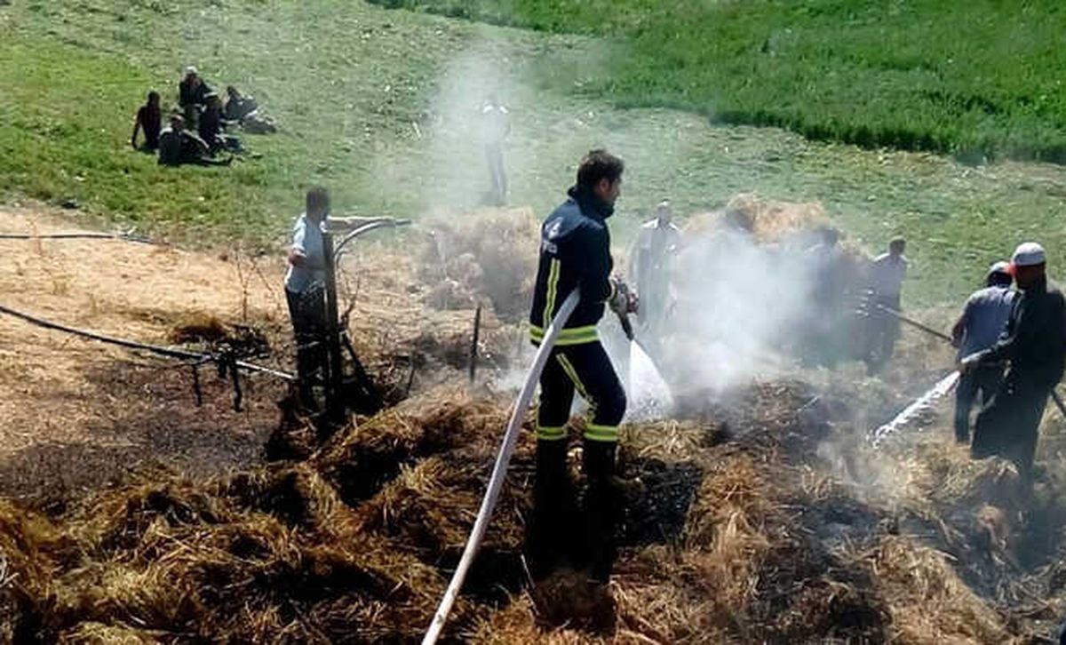 Başkale\'de 2 Bin Bağ Ot Kül Oldu