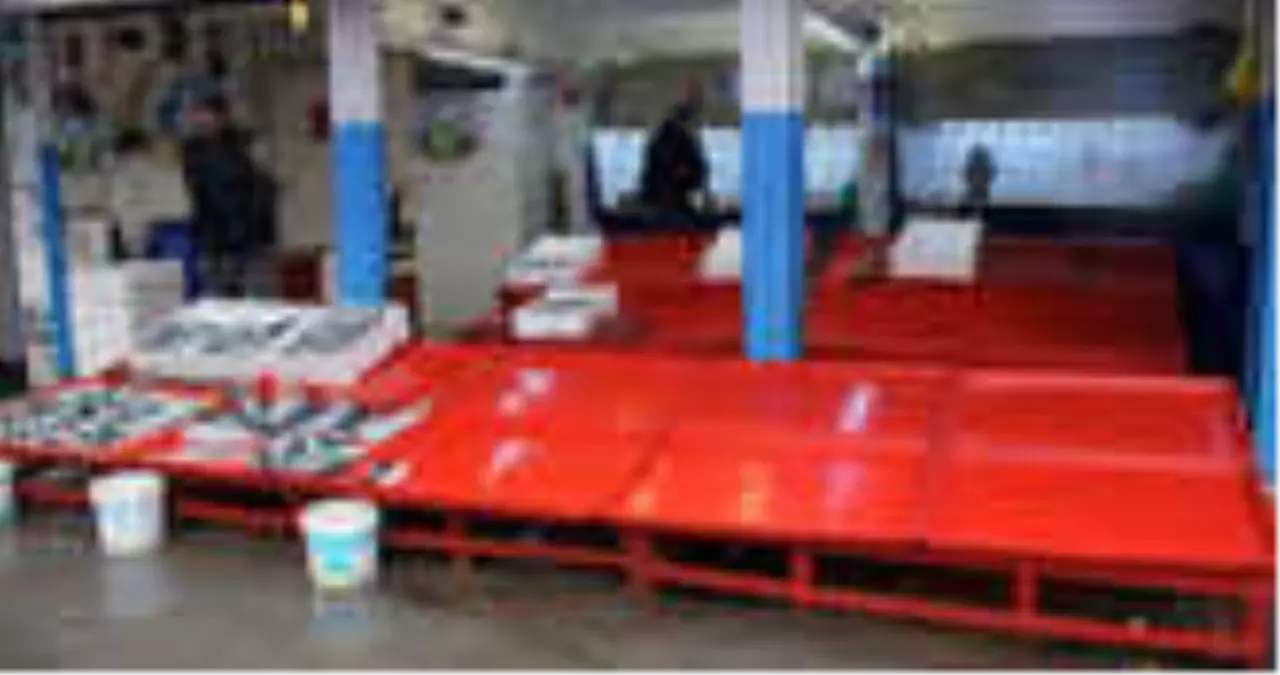 Soğuk Hava ve Yağmur Balık Fiyatlarını Vurdu, Palamut 6 Liradan 12 Liraya Yükseldi