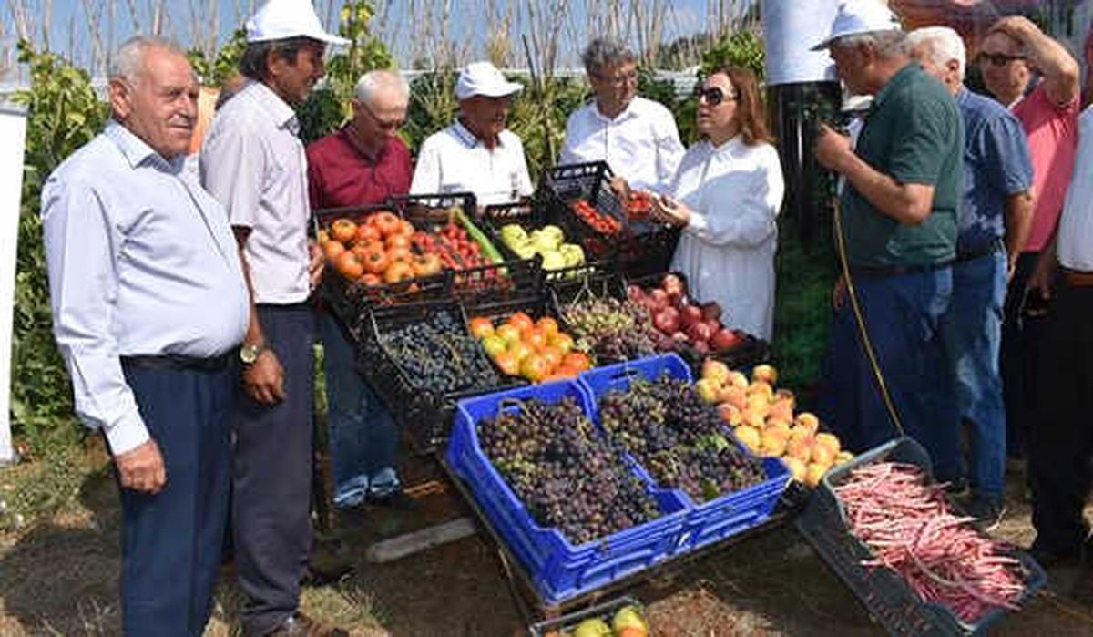 Mersin\'de \'Domates Tarla Günü\' Etkinliği