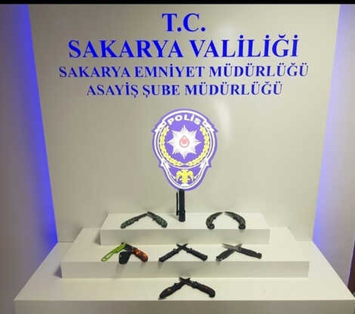 Sakarya\'da Yakalanan Norveçli Şahsın Üzerinden 12 Bıçak Çıktı