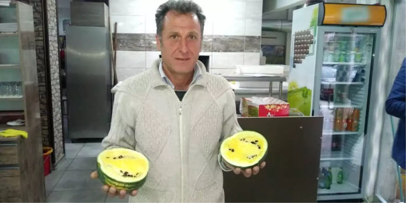 Sarı Karpuz Görenleri Şaşırtıyor