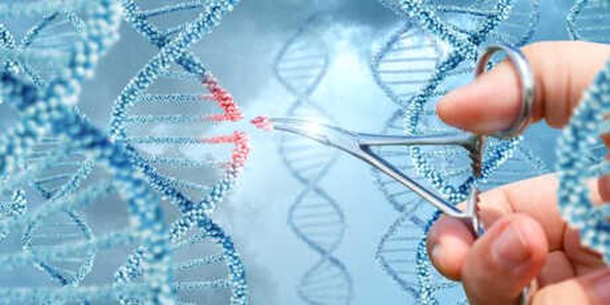 Unutkanlığı Alzheimer\'dan Ayıran 10 Unsur
