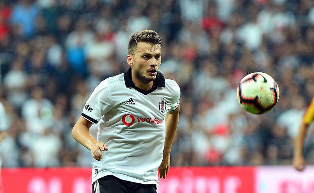 Adem Ljajic\'e Milli Davet