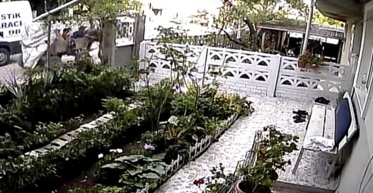 At Arabalı Hırsızlar Kamerada