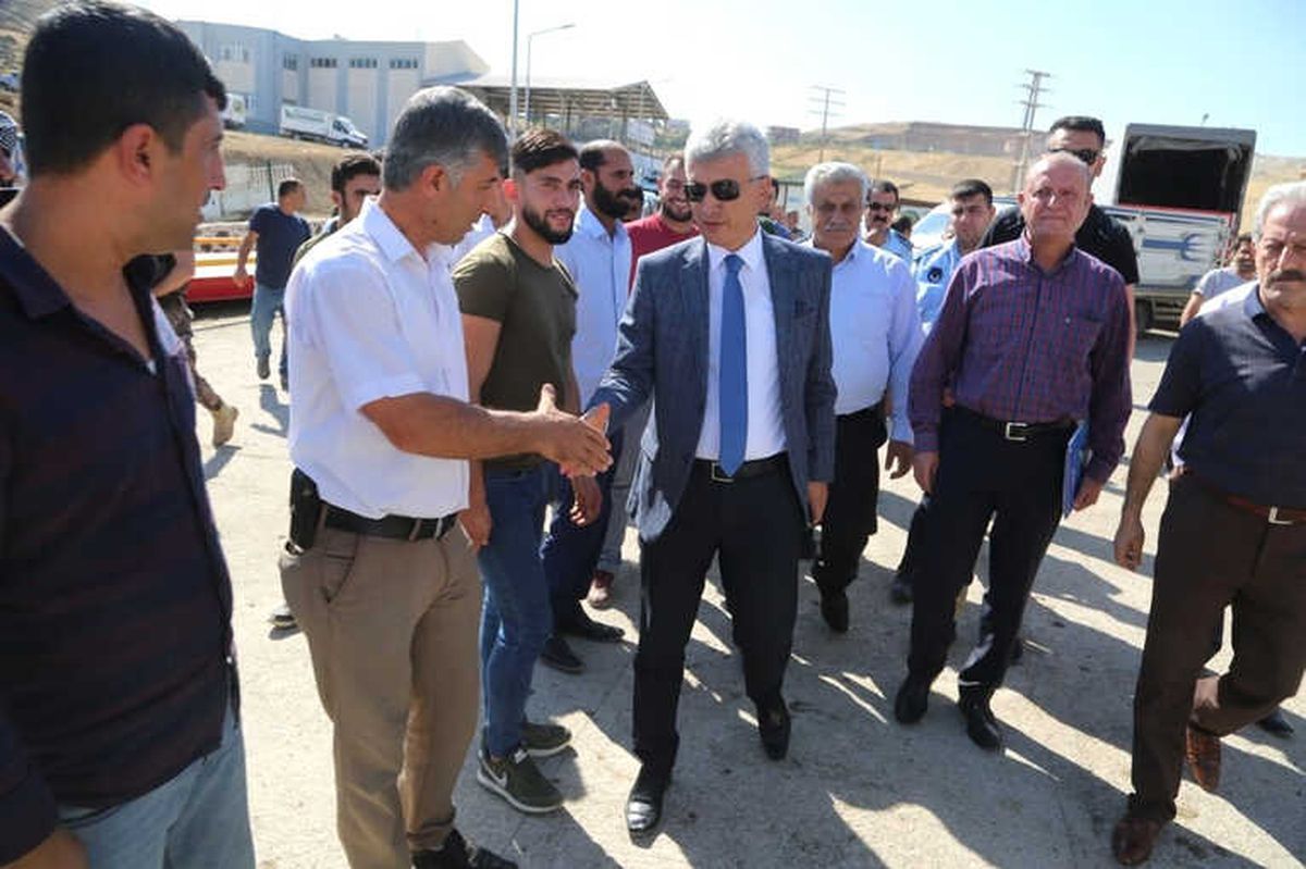 Cizre\'de 20 Çiftçiye 100 Adet Dişi Düve Dağıtıldı