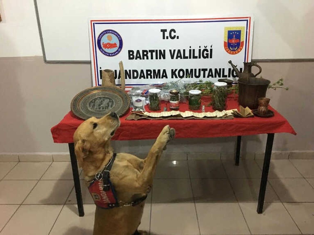 Evindeki Uyuşturucuyu \'Cesur\'dan Saklayamadı