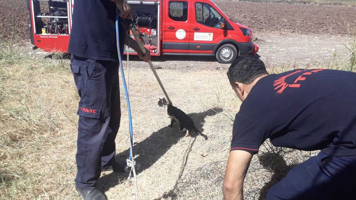 Kahramanmaraş\'ta Kedi Kurtarma Operasyonu