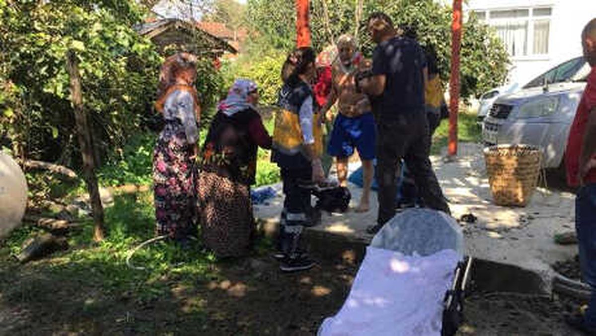 Süt Sağma Makinesindeki Kaçak Elektrik Akımına Kapıldı