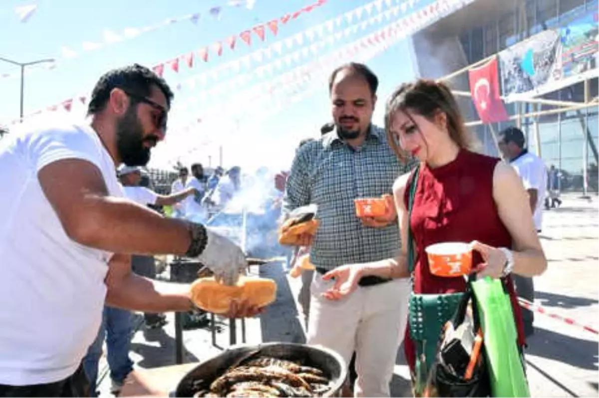 4\'üncü Van Gölü Balığı Festivali\'ne Yoğun İlgi