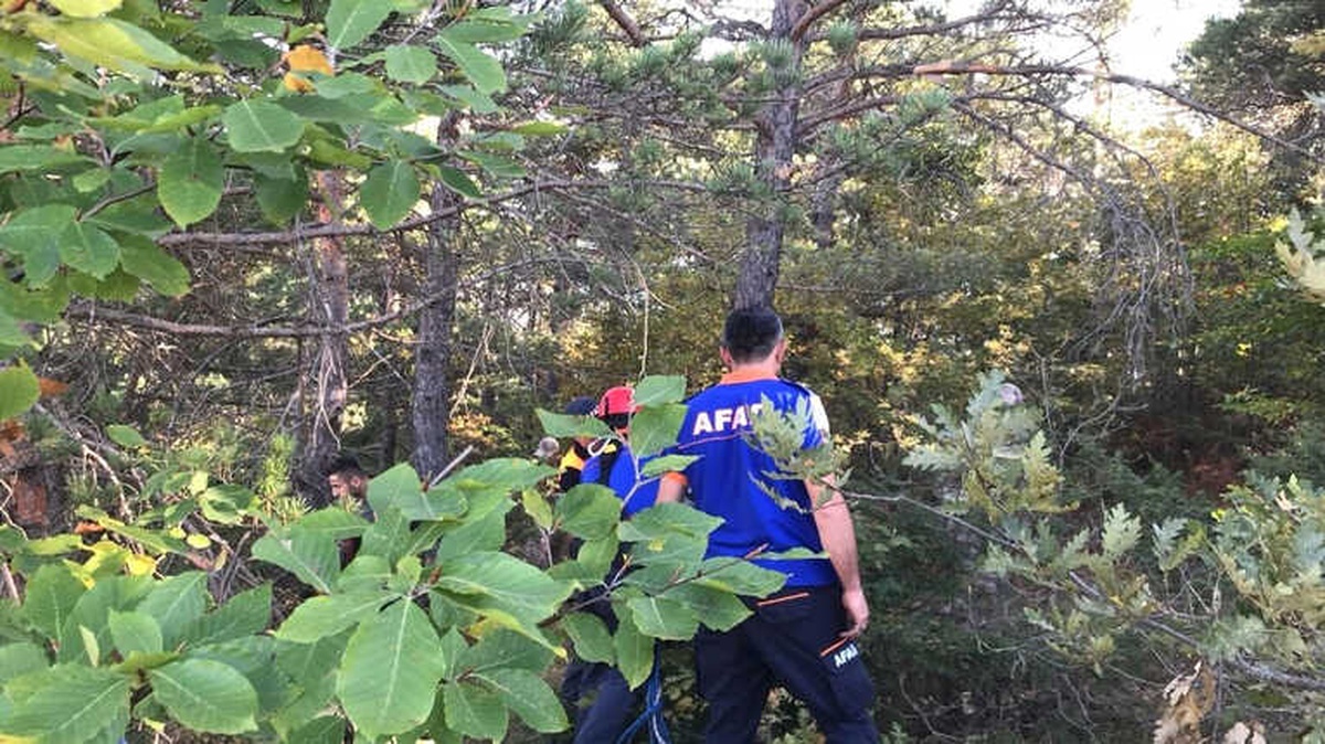 Aç Kurttan Kaçan 40 Koyun Telef Oldu