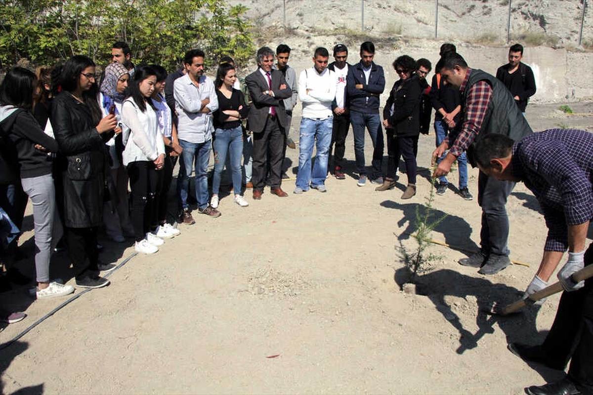 Beypazarı Meslek Yüksekokulunda Fidan Dikimi
