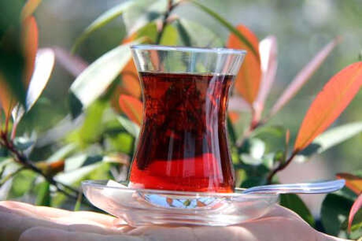 Dünyada En Çok Çayı Türkler İçiyor
