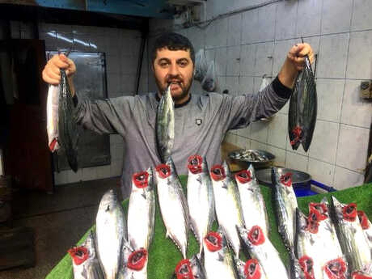 Palamutun Boyu Uzadı, Fiyatı Aynı Kaldı