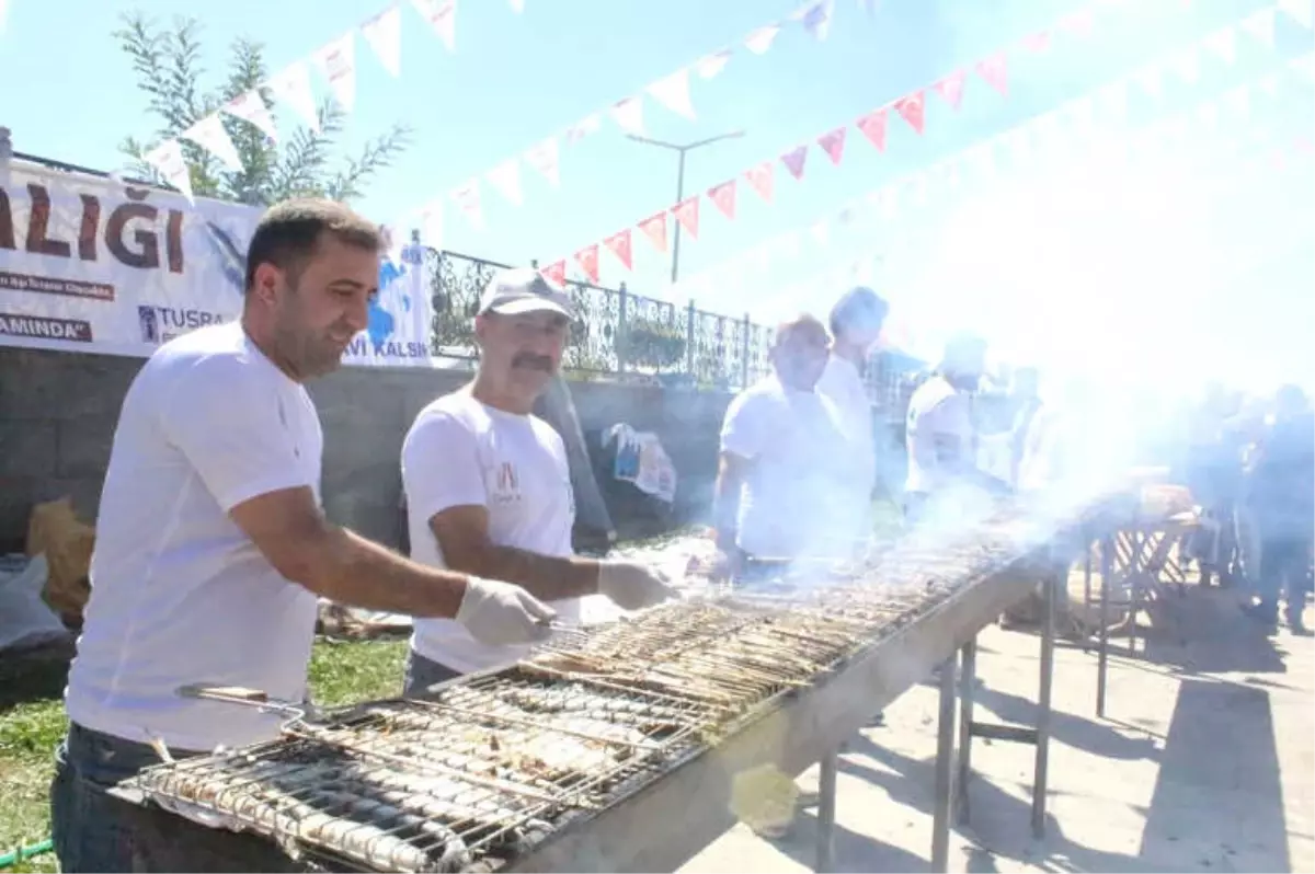 Van\'da Balık Festivaline Yoğun İlgi