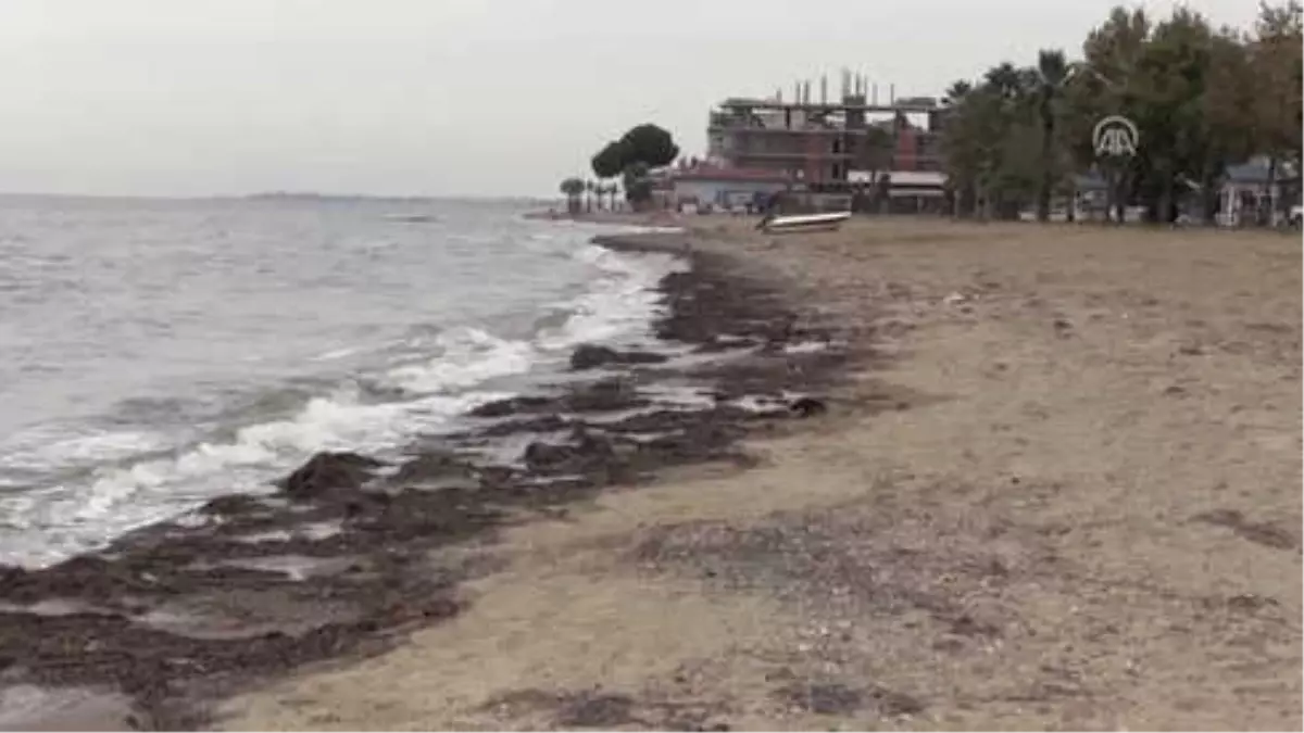 Yalova\'da 25 Metre Çekilen Deniz Eski Haline Döndü