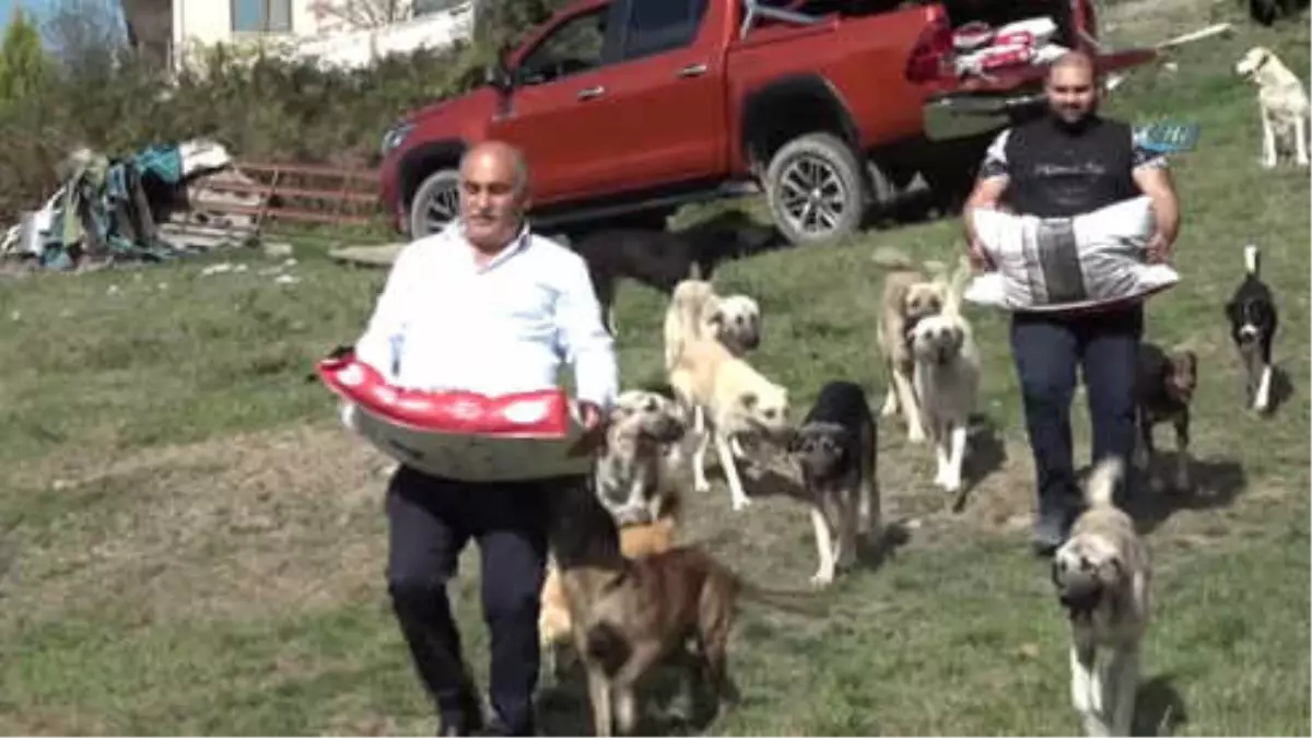 Hayvansever Erol Şahin Sokak Köpeklerine Sahip Çıktı