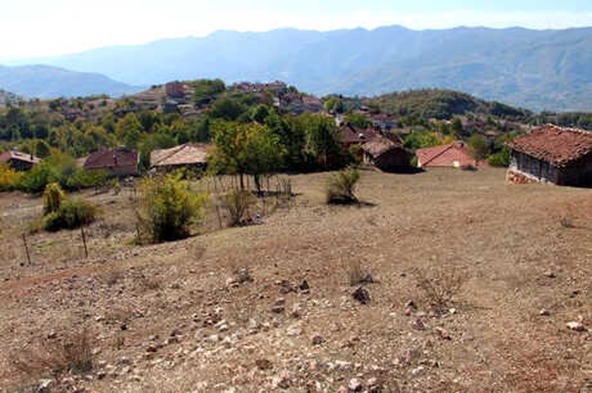Tokat\'ta Köylüler, Kurt Saldırılarından Tedirgin