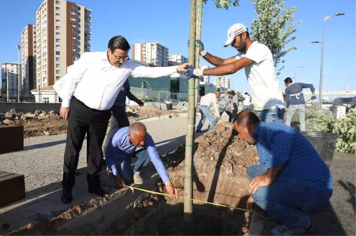 Yeşil Kuşak Projesinde Sona Gelindi