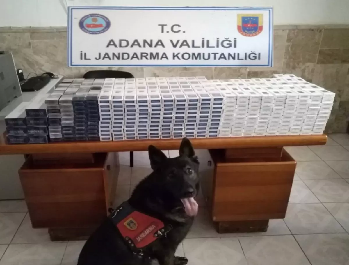 İmge" Çekicilerde Bin 627 Paket Kaçak Sigara Buldu