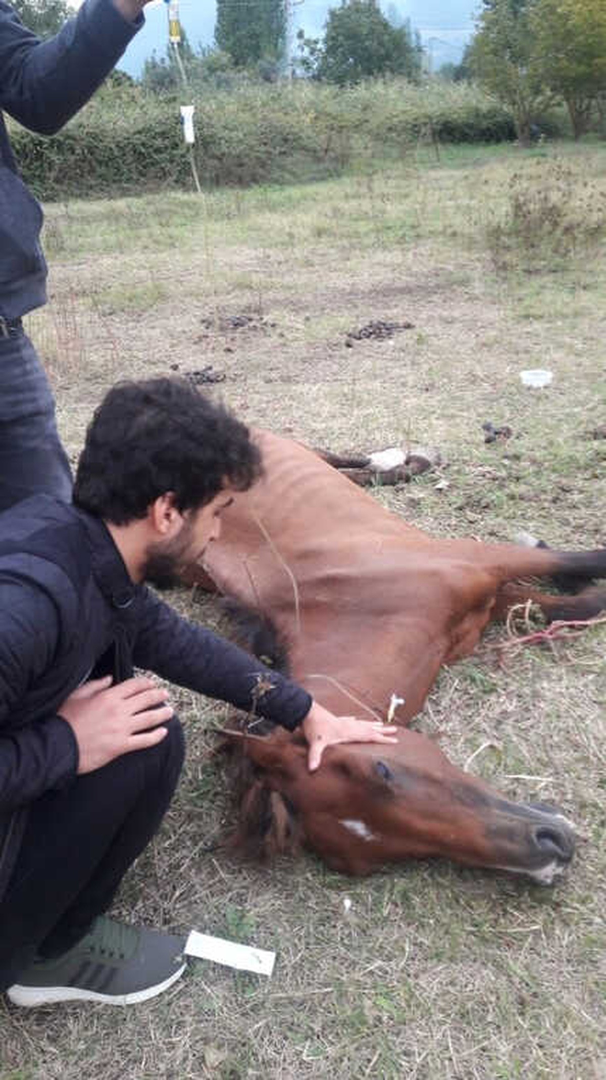 Ölüme Terk Edilen Ata Milletvekili Canbey ve Haluk Levent Sahip Çıktı