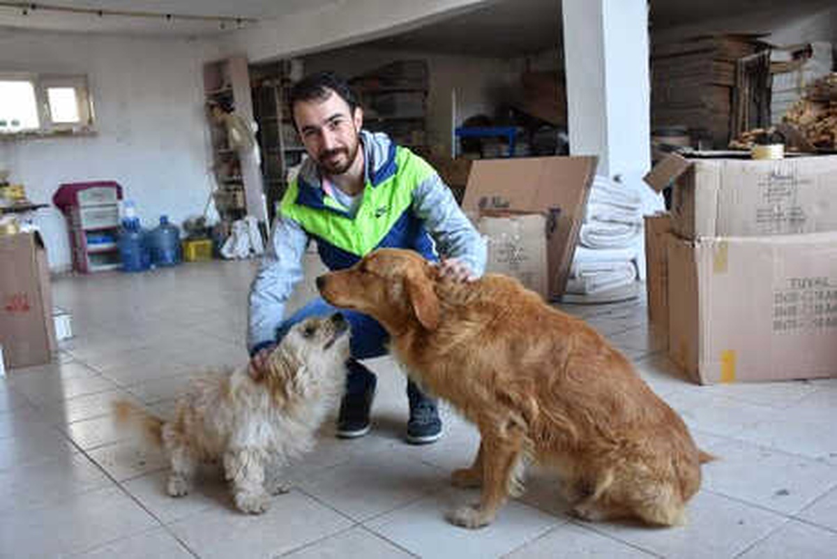 Ördek Yedikleri İddiasıyla 2 Köpek Av Tüfeğiyle Öldürüldü