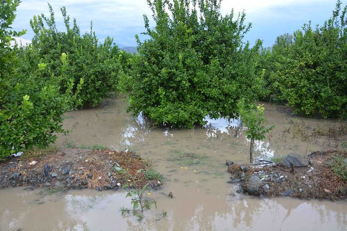 Ortaca\'da Şiddetli Yağış Hayatı Olumsuz Etkiledi