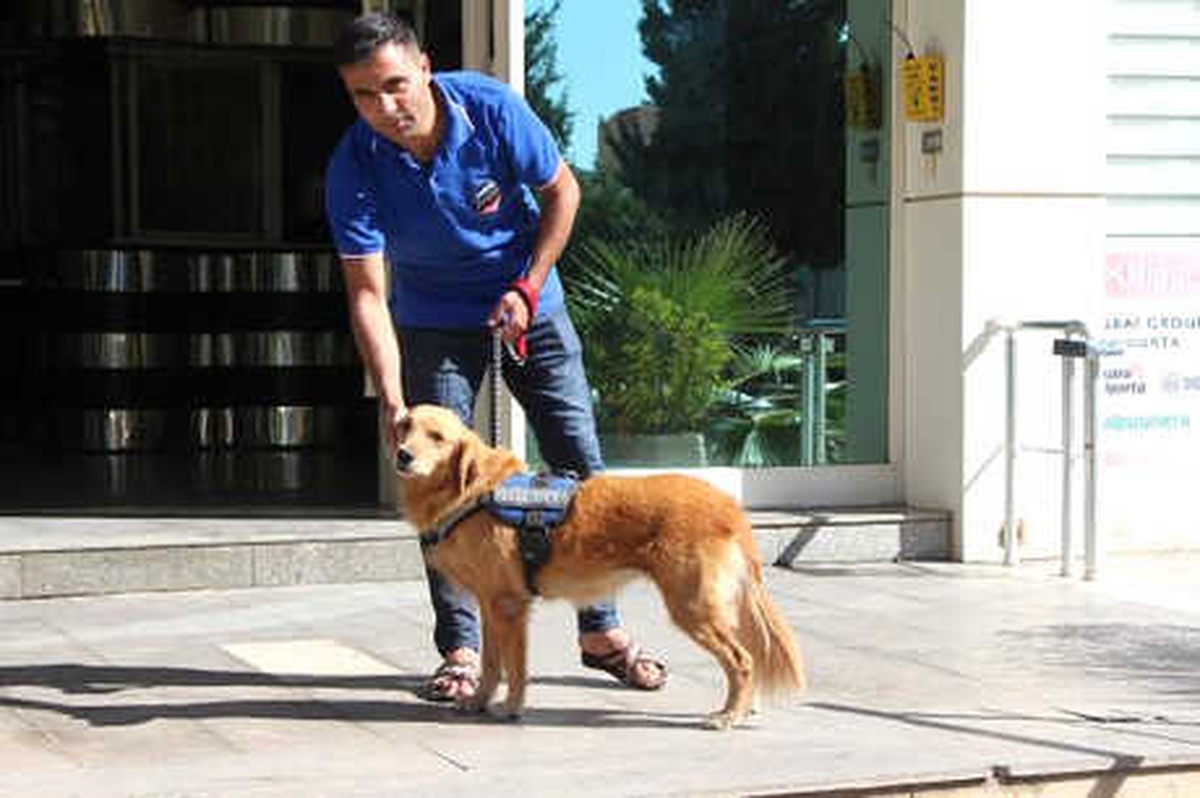 Terk Edilen Köpeğe Sahip Çıkıp, İş Merkezi Güvenliğine Aldılar