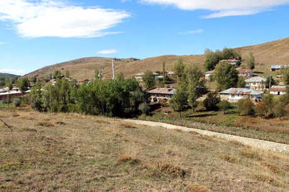 Tokat\'ta Köylüleri Korkutan \'Dev Yılan\' İddiası