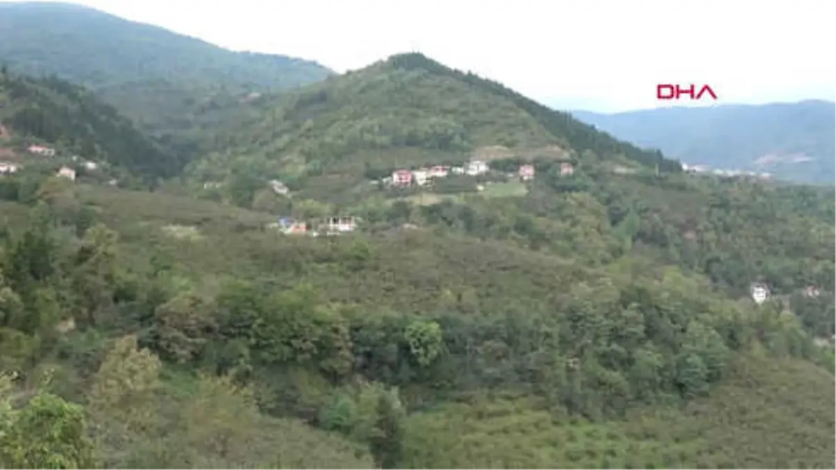 Trabzon Heyelan Evin Duvarını Yıktı; Gardırop Felçi Kadının Hayatını Kurtardı