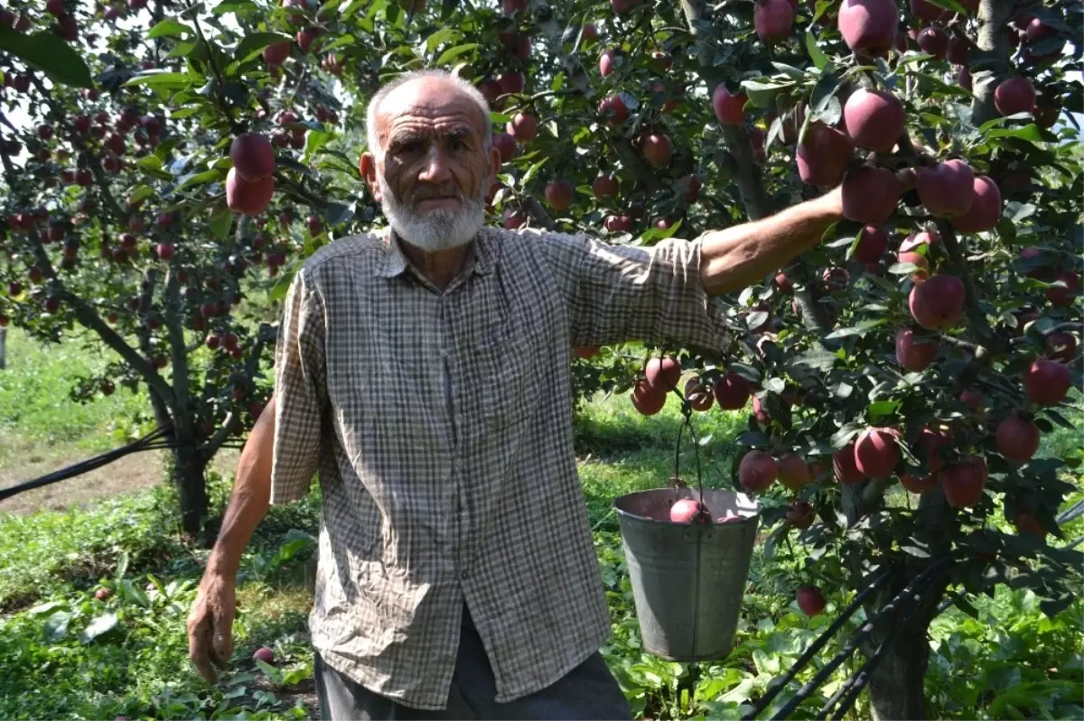 75 Yaşındaki Dede Gençlere Taş Çıkartıyor