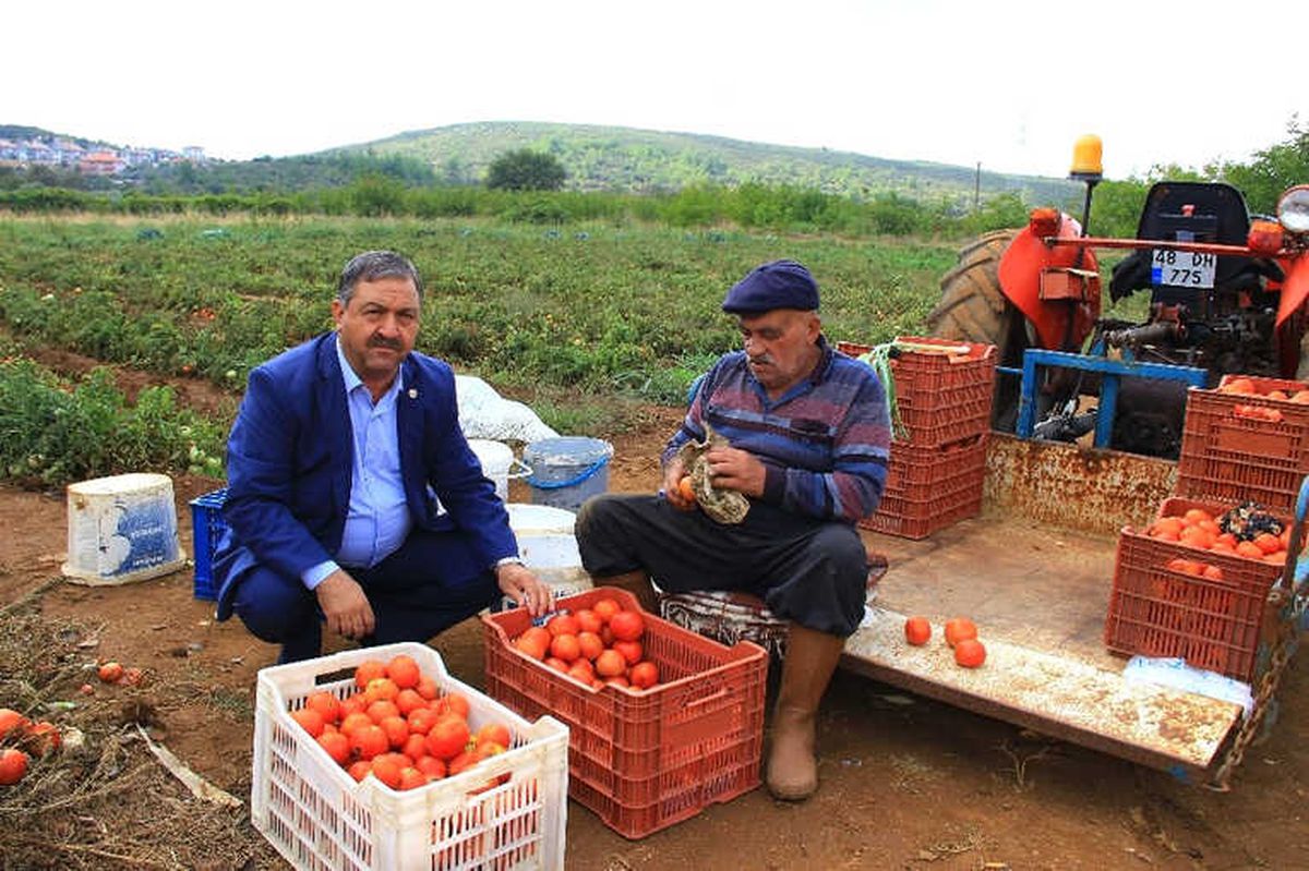 Baştuğ: "Yağışlar Üretici Açısından İyi"