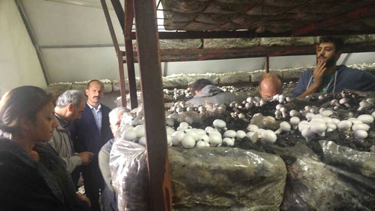 Erzincanlı Çiftçiler Tarım Fuarına Katıldı