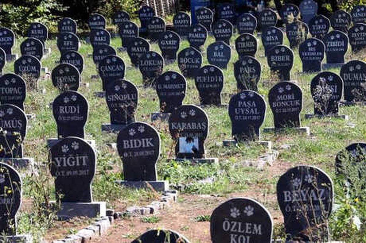 Evcil Hayvanlara Özel Mezar