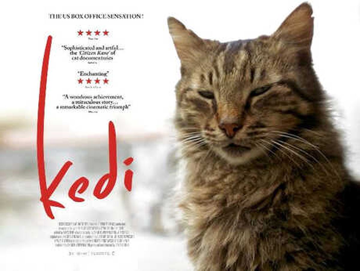 Mama Getiren Ücretsiz Film Seyredecek