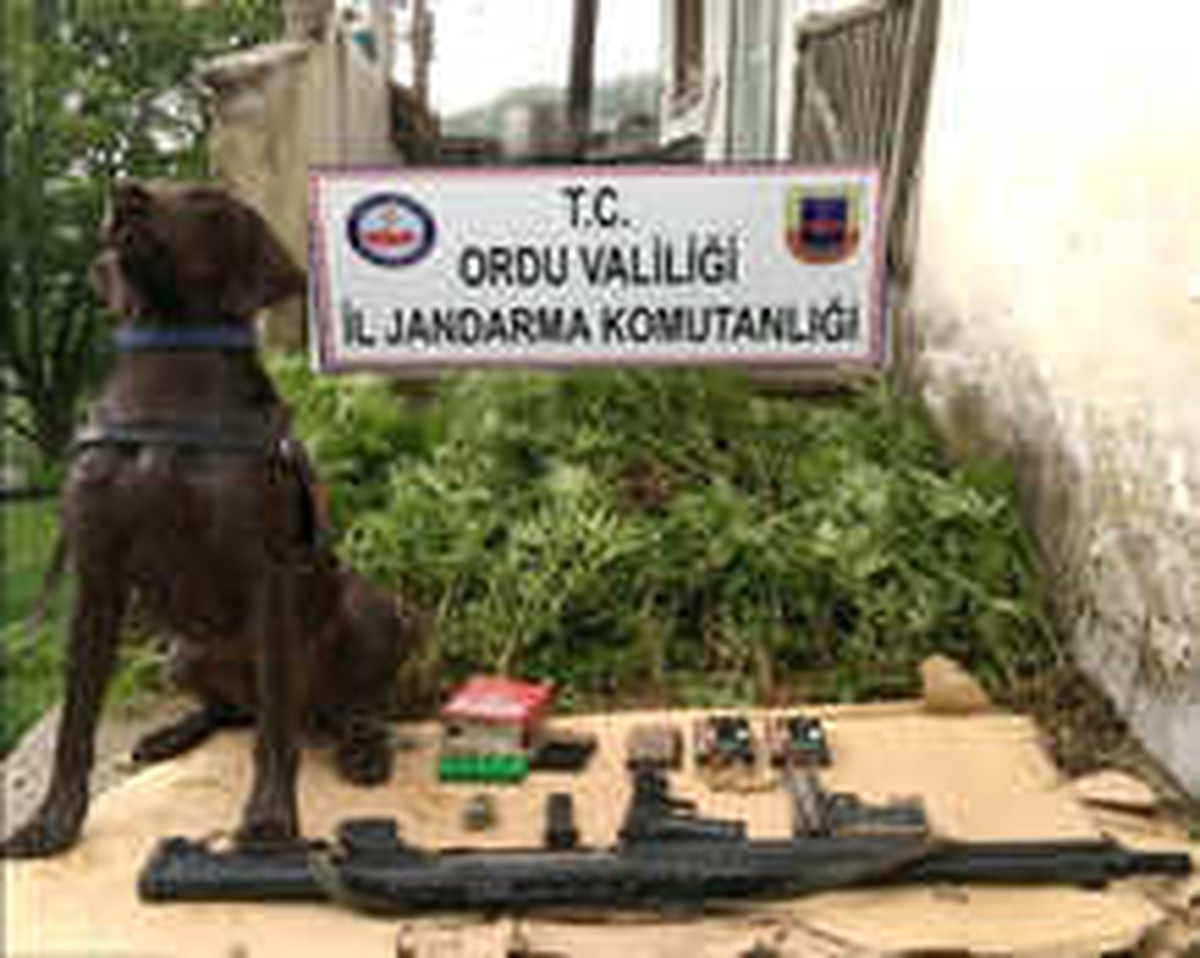 Ordu\'da Uyuşturucu Operasyonu: 6 Gözaltı