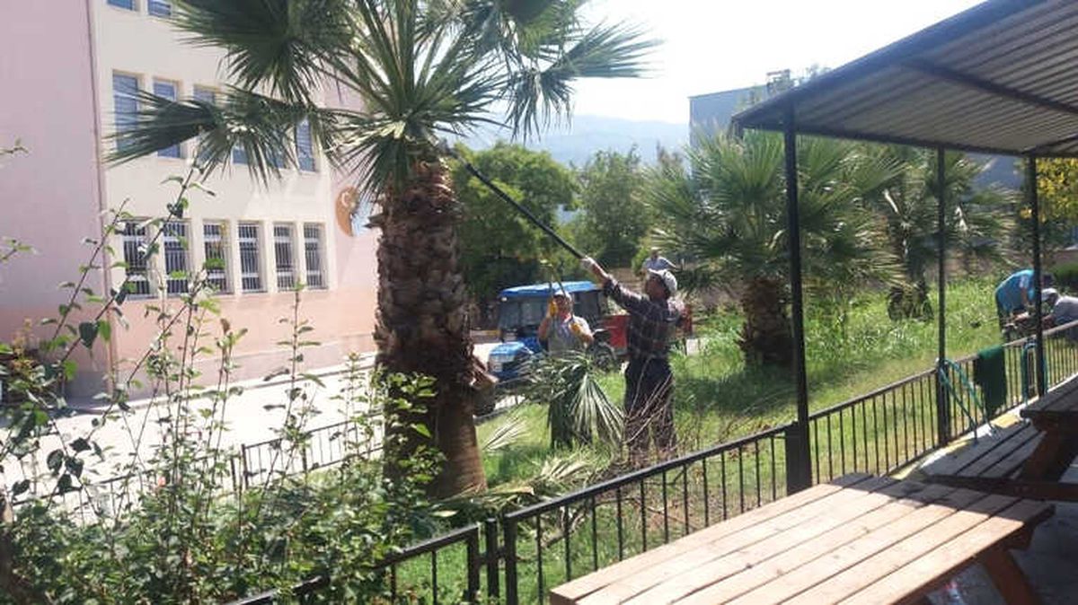 Yunusemre\'de Park ve Bahçelere Kış Bakımı