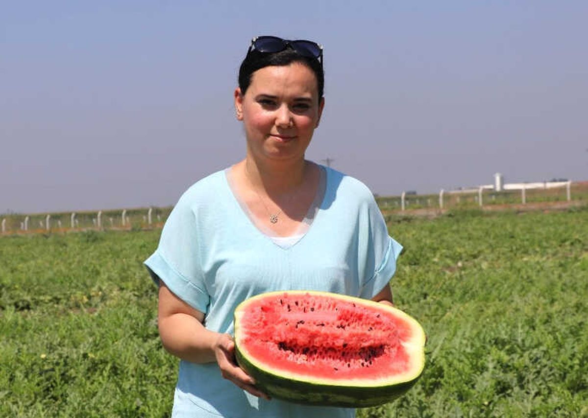 Adana\'da Zam Şampiyonu Karpuz