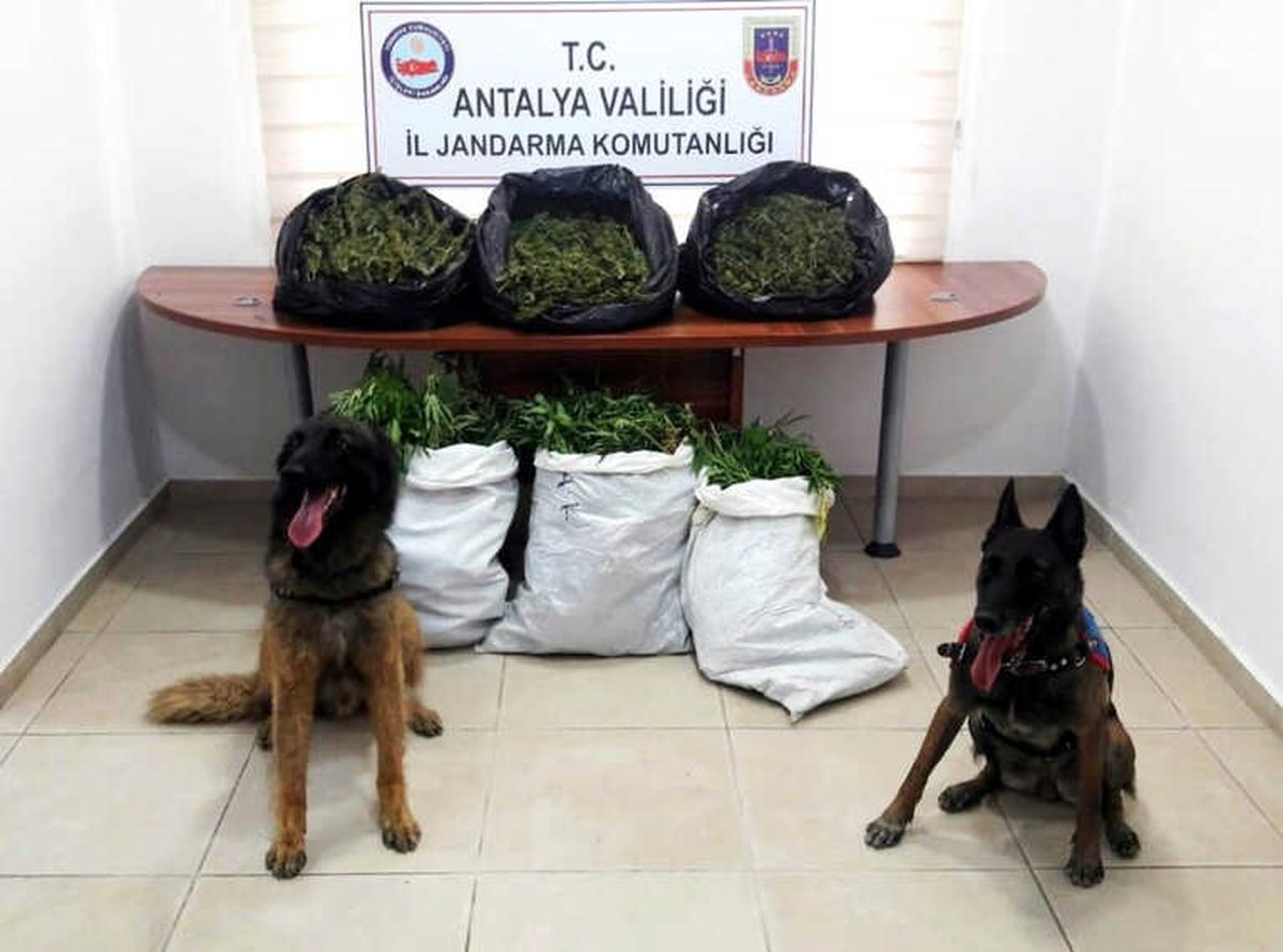 Antalya\'da Uyuşturucu Operasyonlarına 15 Tutuklama