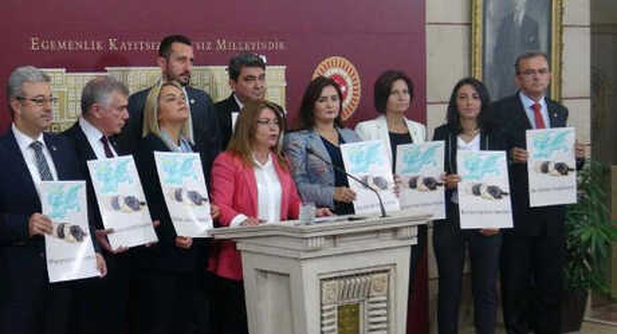 Chp, Hayvan Hakları Kanun Teklifine Destek İstedi