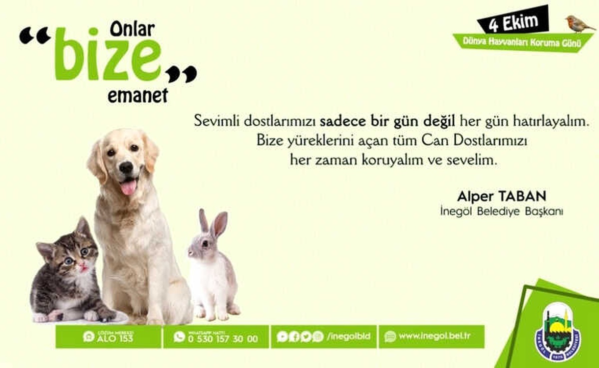 İnegöl Belediyesi\'nden Can Dostlarına Şefkat Eli