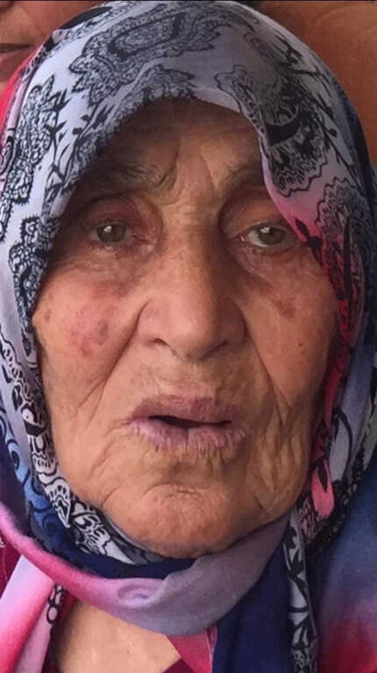 Isparta\'da Öküz Dehşeti