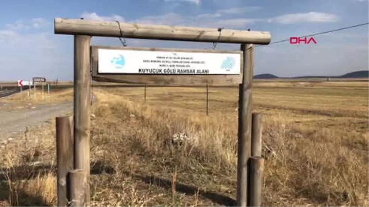 Kars Kuyucuk Gölü Kuş Cenneti Kurudu