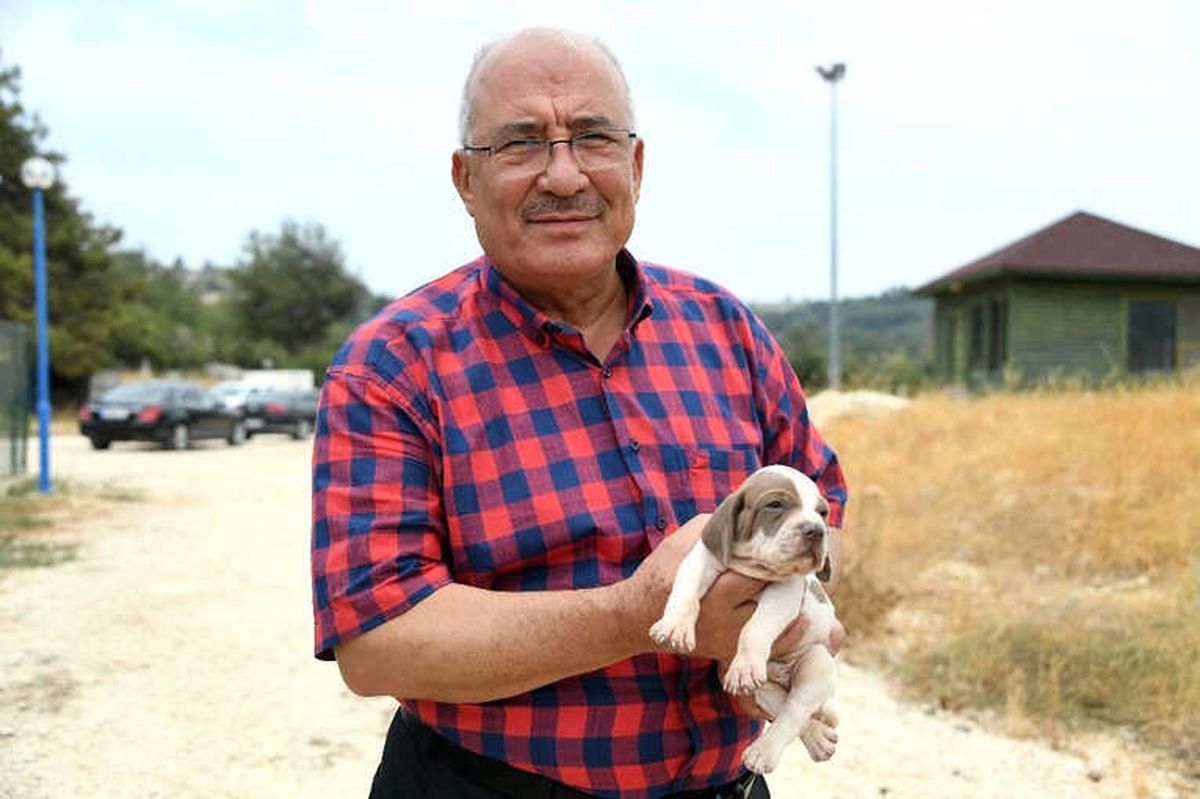 Kocamaz: "Hayvanları Seven Tüm Dünyayı Sever"