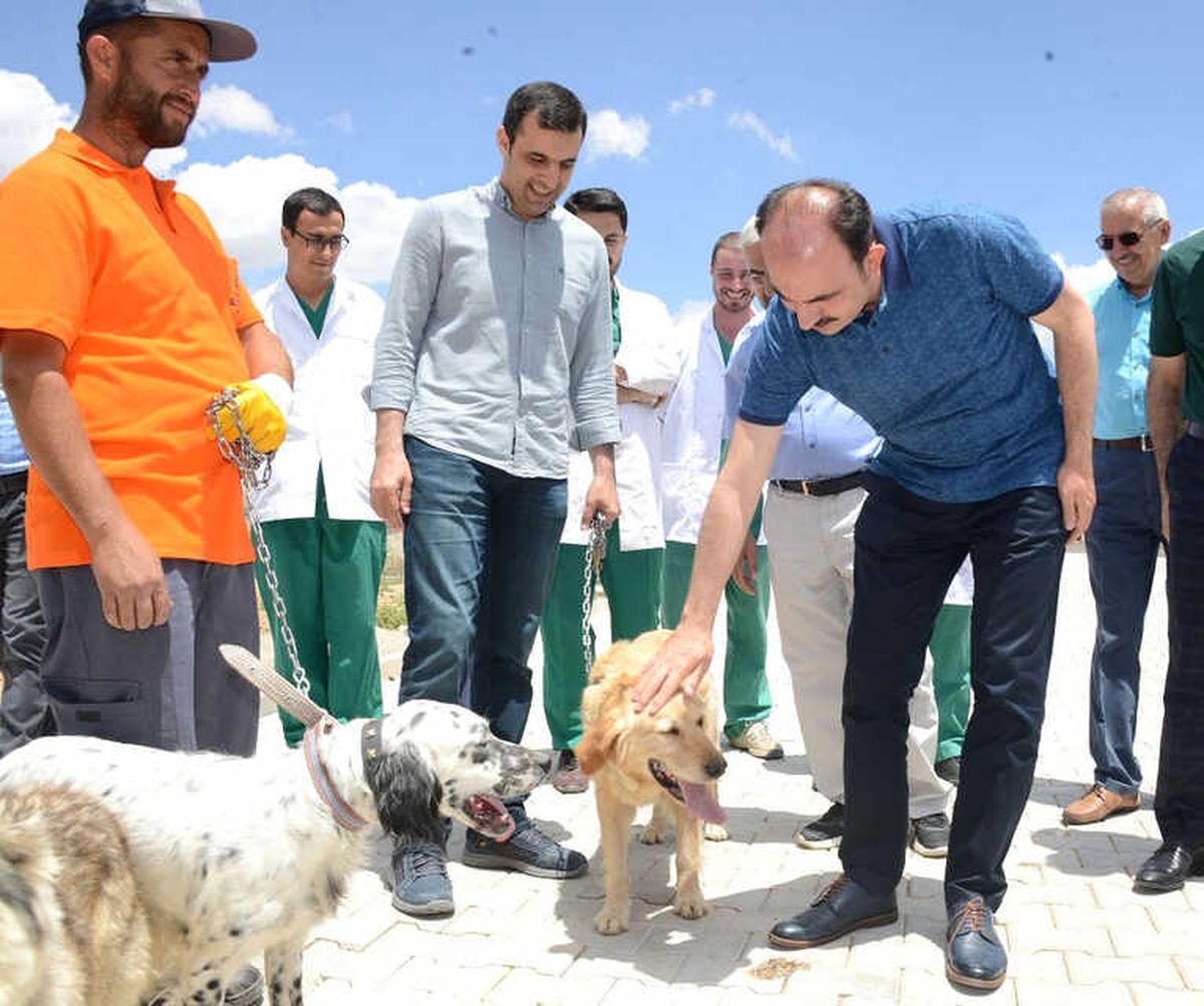 Konya\'da Hayvanlar İçin Örnek Projeler